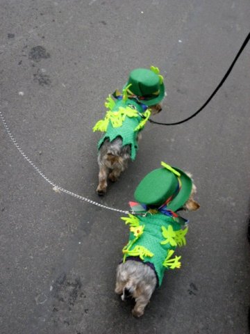 St. Patricks Day in Berlin