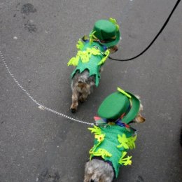 St. Patricks Day in Berlin